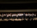 asd-idmso-1