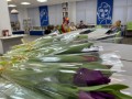 IMG-20240306-WA0032