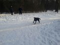 07[1]